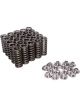Comp Cams Valve Spring & Ti Retainer Kit Zex