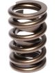 Comp Cams Valve Spring Race Sportsman 1.269 in. OD Single 1.750 in. Inst