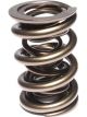Comp Cams Valve Spring Race Extreme 1.660 in. OD Triple 2.000 in. Instal