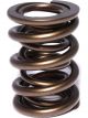 Comp Cams Valve Spring Endurance 1.565 in. OD Dual 2.000 in. Installed H