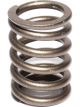 Comp Cams Valve Spring Single 1.406 in. O.D. 251 lbs./in. Rate 1.203 in.