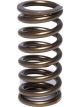 Comp Cams Valve Spring Single .970 in. O.D. 134 lbs./in. Rate 1.040 in.
