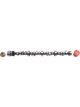 Edelbrock Camshaft Hydraulic Roller Tappet Advertised Duration 300/308 Li…