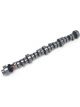 Edelbrock Camshaft Hydraulic Roller Tappet Advertised Duration 291/308 Li…