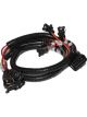 Fast XFI Fuel Inector Harness For Ford Small Block, FE and Big Block