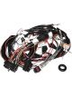 Fast XIM Wiring Harness For LS1/LS6