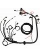 Fast Wiring Harness W/Relay, Fast M Ain