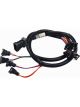 Fast Wiring Harness, Fast Fuel Inje Ctor