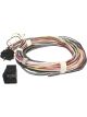 Fast Wiring Harness, Fast 4-Cyl Fue L Injector