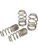 Hurst Coil Springs Stage 1 Lowering Front and Rear Gold Powdercoated