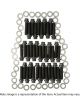 Weld Racing Weld Racing Bead Lock Fasteners For 15