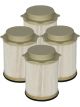 AFE ProGuard D2 Fuel Filter 4 Pack 10-16 For Dodge RAM Diesel Truc