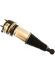 Bilstein B4 OE Replacement Air Suspension Strut Rear Spring