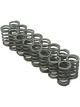 Brian Crower For Nissan SR20DE Single Valve Springs Set of 16