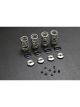 Ferrea For Acura K20 Drag Racing Dual Spring Kit