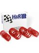 H&R 96-01 For Audi A4 Quattro AWD B5 Race Spring