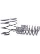 H&R 04-06 For BMW 525i/530i/545i E60 Race Spring w/o Self Leveling