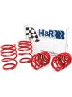 H&R 01-06 For BMW 325Ci Cabrio/330Ci Cabrio E46 Race Spring w/Sport S