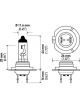 Hella Halogen  Bulb