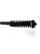 KYB Shocks & Struts Strut Plus Front Right For Honda Civic 1996-00