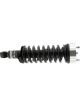 KYB Strut Plus Front Truck-Plus Leveling Assembly 05-19 For Nissan Fro