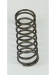 BD Diesel Flow-MaX Pump Pressure Spring 18psi