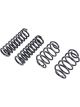 Belltech Muscle Car Spring Kits For Buick 68-72 A-Body