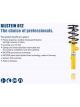Bilstein B12 OE Replacement Pro-Kit Suspension Kit