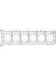 Cometic For Mercedes 92-05 M120-V12 90mm .051in MLS Head Gasket LHS