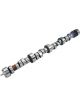 COMP Cams Camshaft Lt1 290HR-12