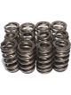 COMP Cams Valve Springs 1.415in Beehive