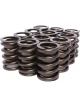 COMP Cams Valve Spring 1.450in Outer W/D