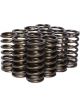 COMP Cams Valve Springs 0.970in Inner