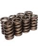 COMP Cams Valve Springs 1.250in Outer W/