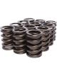 COMP Cams Valve Springs 1.430in Outer W/