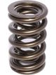 COMP Cams Valve Spring 1.400in 2 Spring