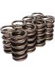 COMP Cams Valve Springs 1.400in 2 Spring