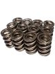 COMP Cams Valve Spring 1.625in H-11 Asse
