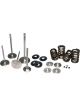 Ferrea For 10-16 Ford Ecoboost 3.5L Spring Kit