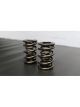 Ferrea 1.650in to 1.600in .885/1.20/1.65 OD .645/.885/1.20 ID Triple…
