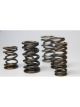 Ferrea 1.225in to 1.570in Diameter 1.025/1.57 OD 0.74/1.135 ID Dual w/D…