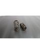 Ferrea Flat Tappet & Hydraulic Roller Single Beehive Ovate PAC Alloy Val…