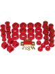 Prothane For 62-67 Chevy Nova Total Kit Red