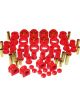 Prothane For 94-01 Dodge Ram 2wd Total Kit Red