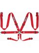 Sparco Belt 6pt 3in Steel Red