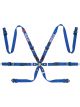 Sparco Belt Prime H7 6 Point 2in Blue Harness