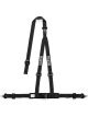 Sparco Belt 2 Inch Black 3Pt Dbl Rel