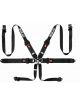 Sparco BELT 6 PNT 3 to 2in HANS ALUM
