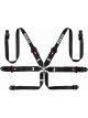 Sparco BELT 6 PNT 3in PD HANS ALUM
