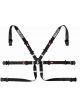 Sparco BELT 6 PNT 2in FORMULA BLK